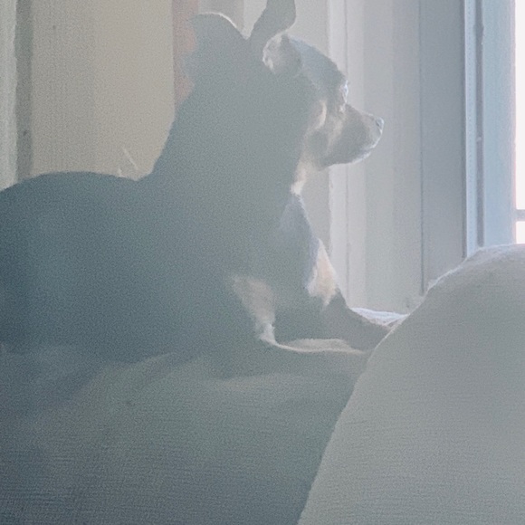 Meet your Posher, Michelle - Picture 2 of 6